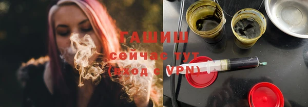 индика Приозерск