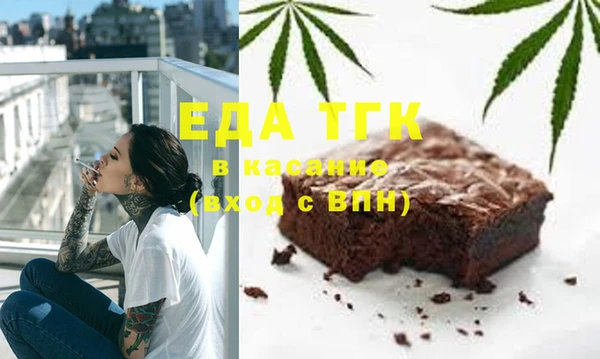 индика Приозерск