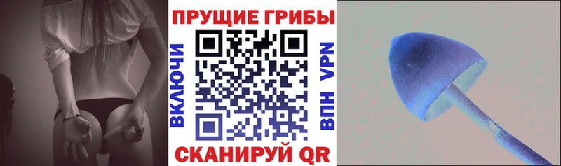 Псилоцибиновые грибы ЛСД  Торжок 