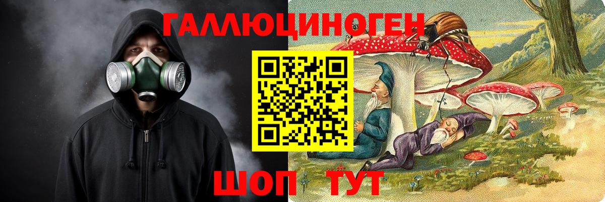 Галлюциногенные грибы мицелий  Вход с VPN  Галлюциногенные грибы мицелий  Торжок 